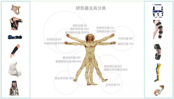 矯形器的定義與功能